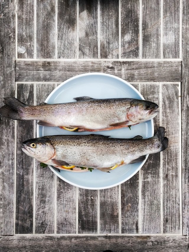 Zero Waste Skin Lightening Trout Fish Recipes